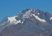 55 Disgrazia (3678 m)
